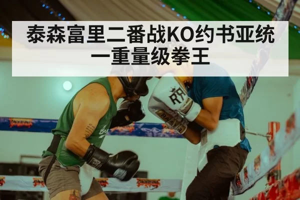 泰森富里二番战KO约书亚统一重量级拳王