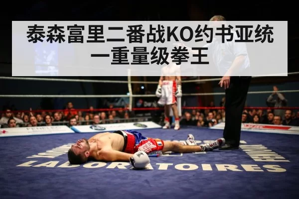 boxer knockout